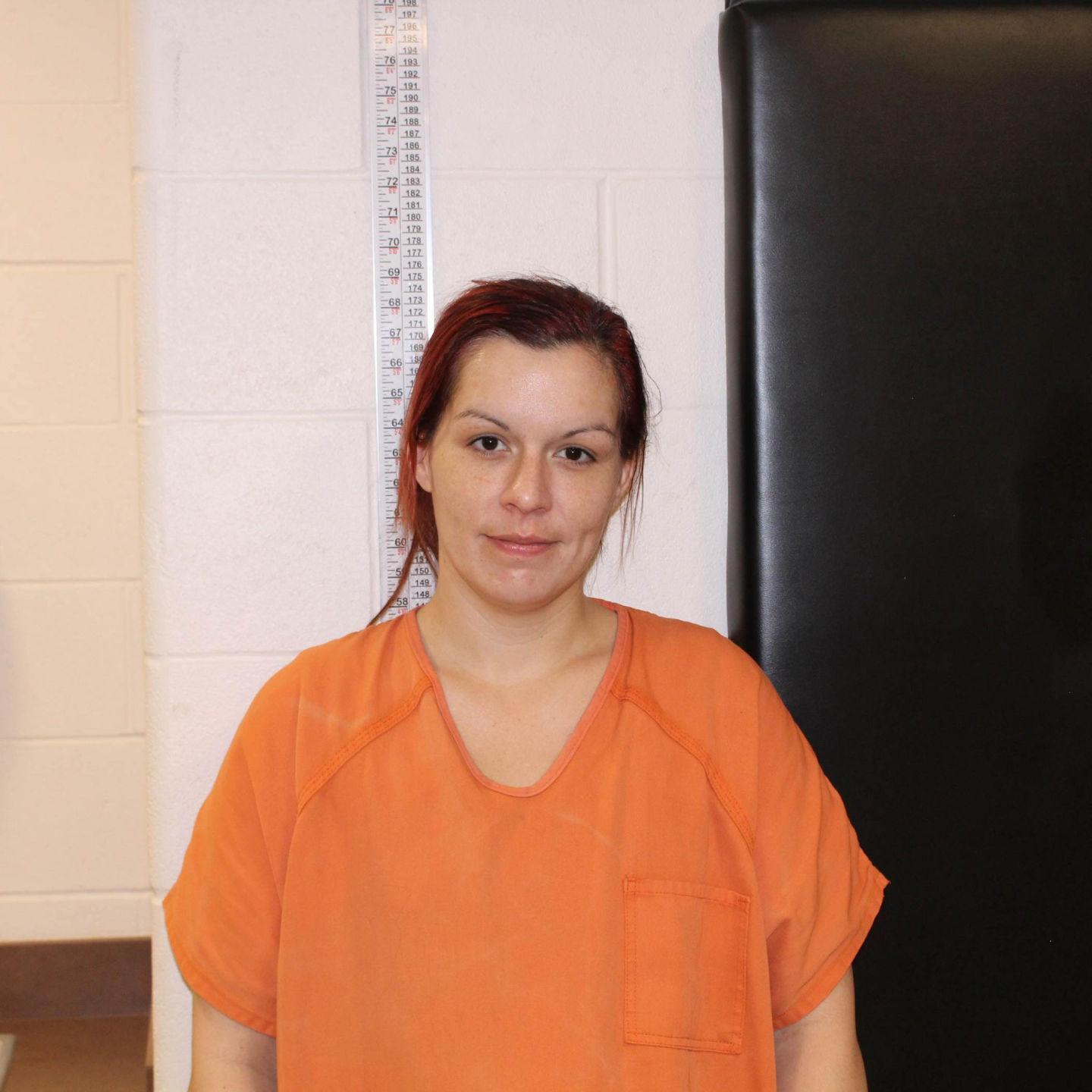 Helenaarea felony arrests Meth, check fraud, burglary, assault