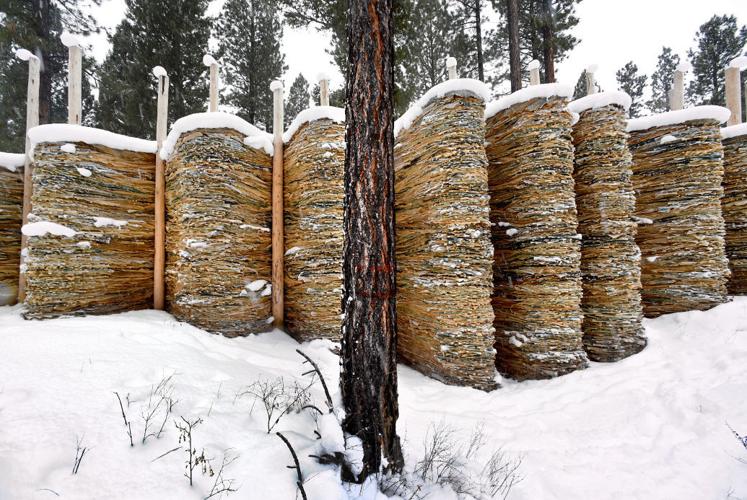 Walk on the wild side at Sculpture in the Wild in Lincoln