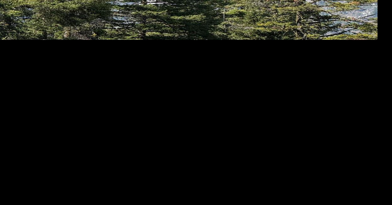 Lolo, Bitterroot national forests reach 'very high' fire danger Jul 30, 2026 13 mins ago