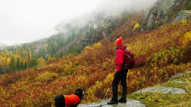 Metrics or politics?: Biden conservation plan raises questions - Vimarsana News