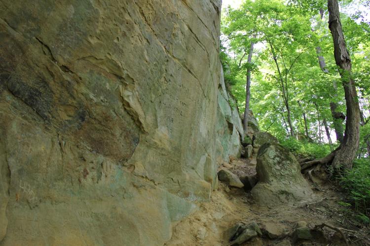 IMG_3619 5.23.2015.JPG