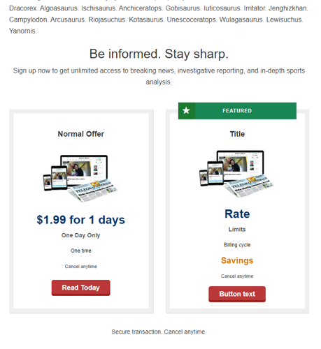 Presentation in page default theme