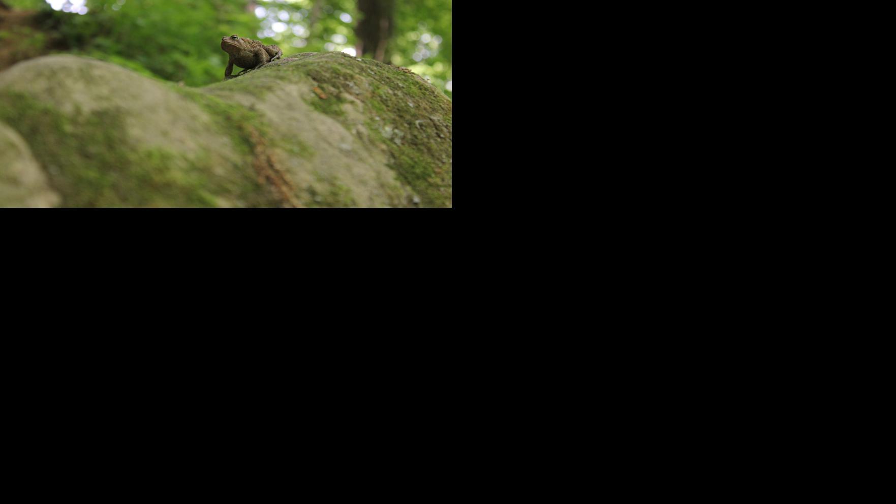 Utility Region Article Showcase