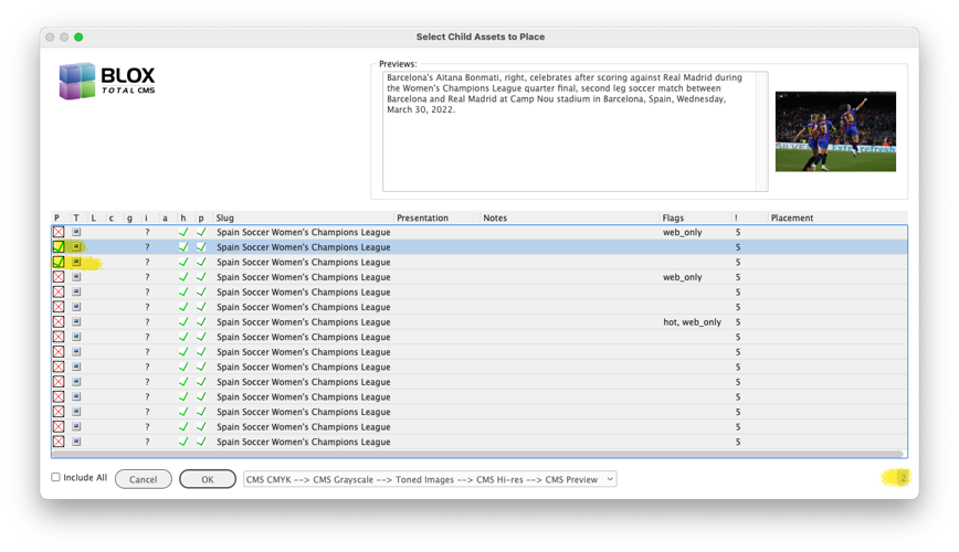 1590 Only the user preference limit of assets are pre-selected.png