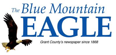 Blue Mountain Eagle
