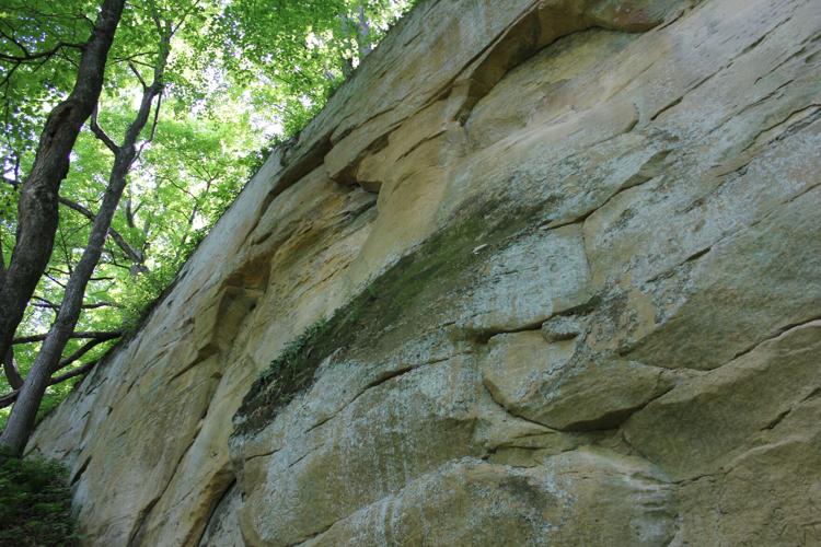 IMG_3601 5.23.2015.JPG