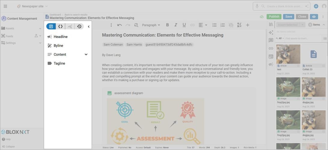 Asset Interface highlighting Content Details Panel