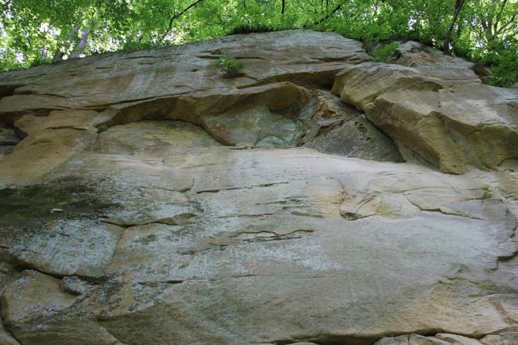 IMG_3600 5.23.2015.JPG