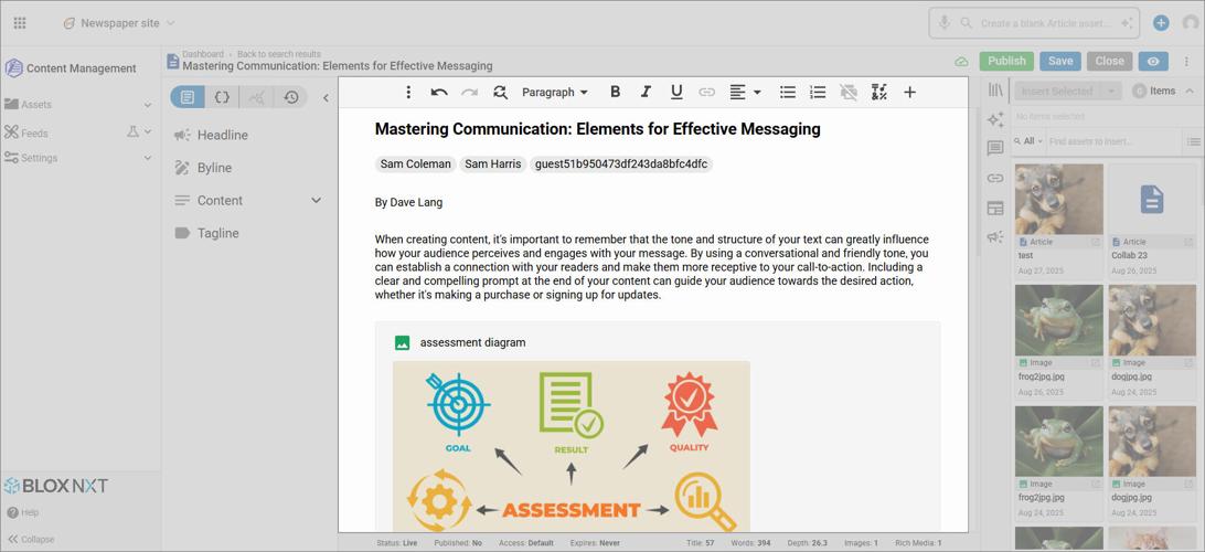 Asset Interface highlighting Content Details Panel