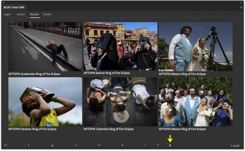 Search Results Grid View.png