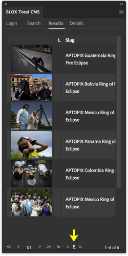 Search Results Preview View.png