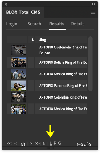 Search Results List View.png
