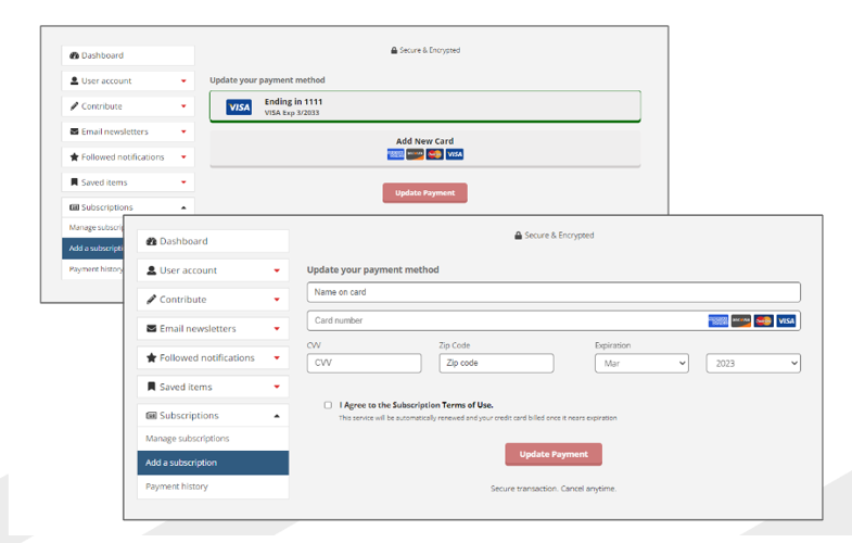 update payment