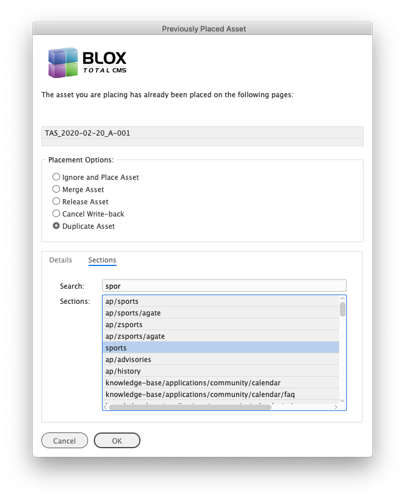 Pre-Placed Asset Policy Sections Tab.png