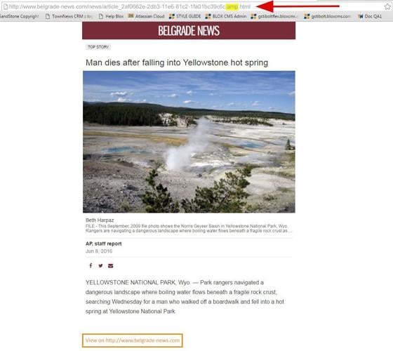 GoogleAMP_LinkRelCodeFront