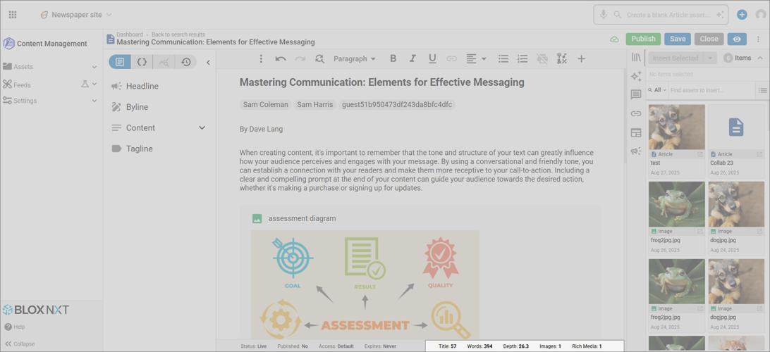 Asset Interface highlighting Article Statistics