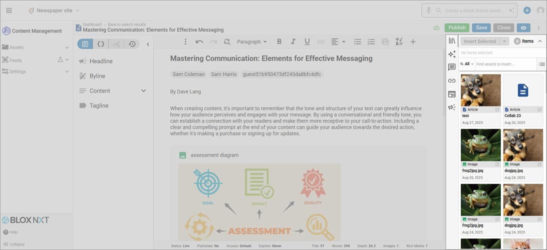 Asset Interface highlighting Article Toolkit Panel