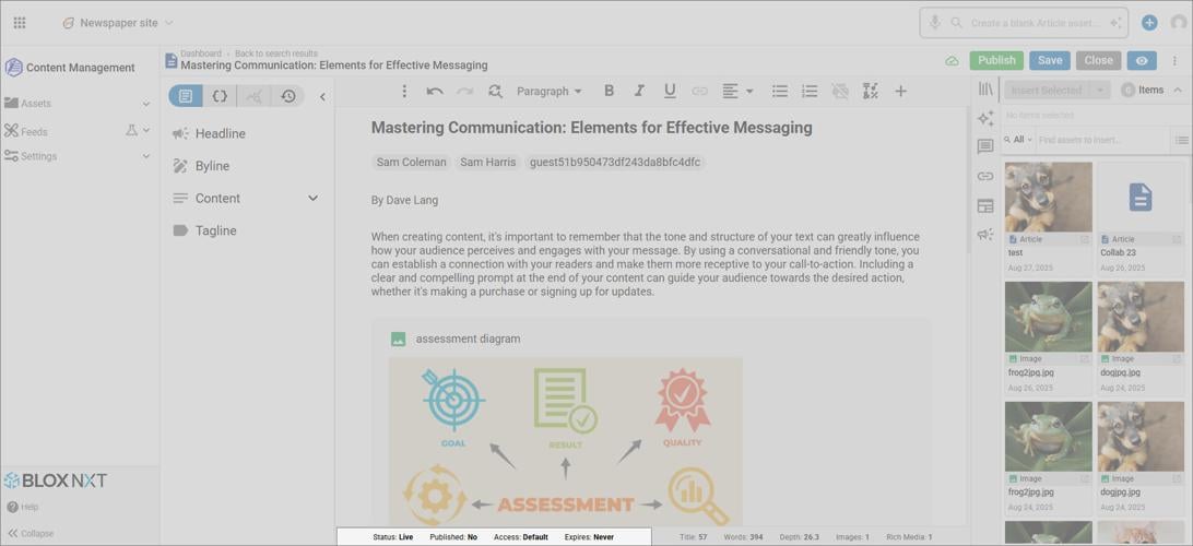 Asset Interface highlighting Asset Information