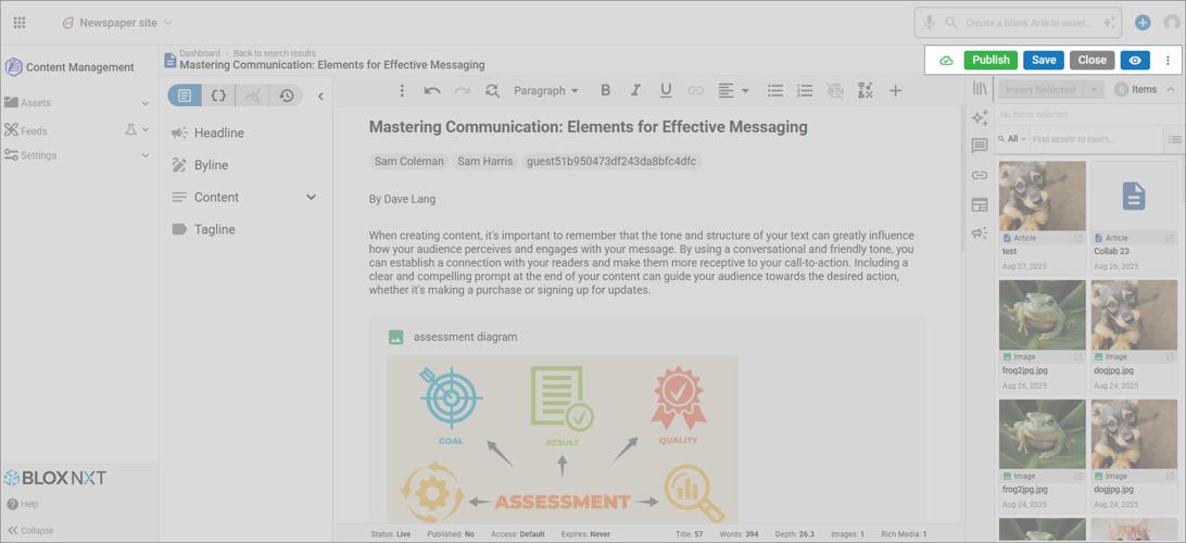 Asset Interface highlighting Publish, Save, Close and View options