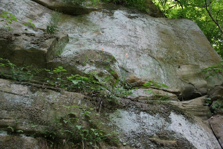 IMG_3627 5.23.2015.JPG