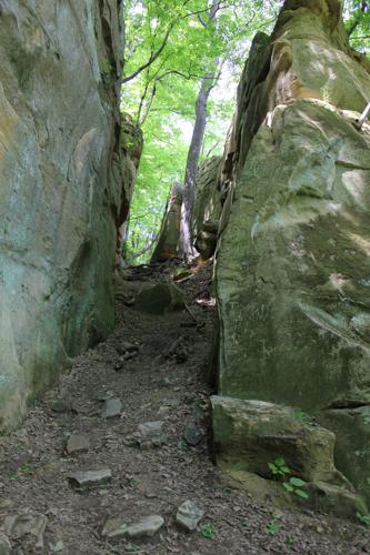 IMG_3624 5.23.2015.JPG