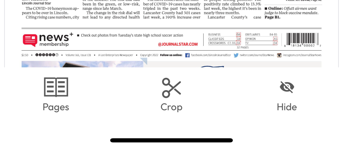 IssueView_ShareandPrint - disabled.PNG