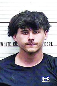 Three Cookeville men facing charges in White County following high ...