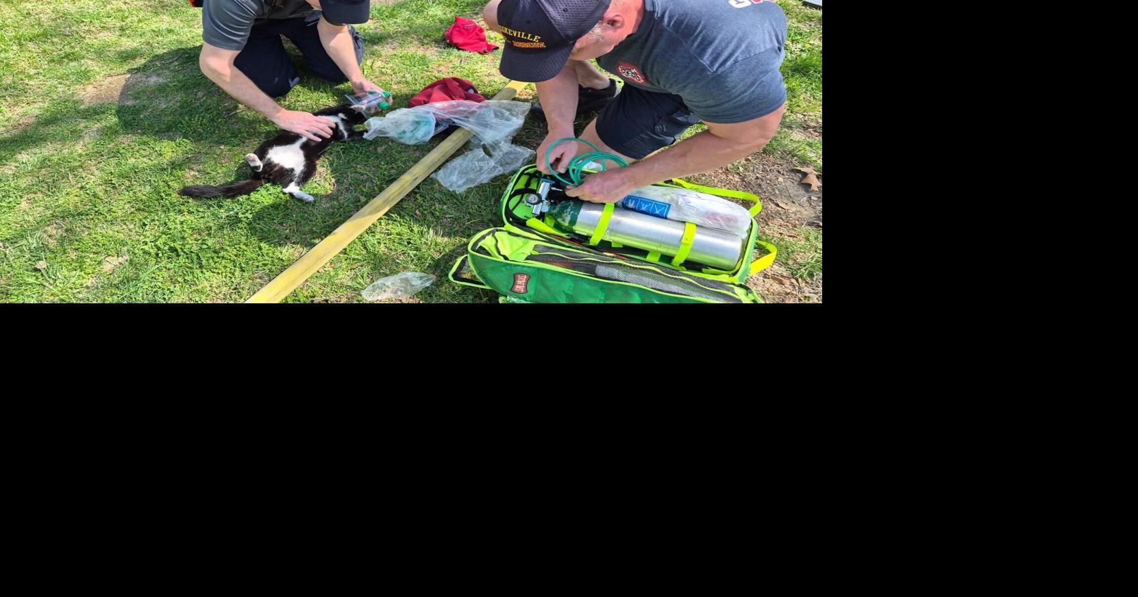 Two injured, cats rescued in Friday fire | News | herald-citizen.com