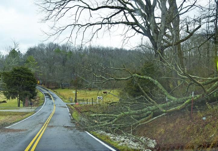 Strong winds down trees, prompt power outages | News | herald-citizen.com