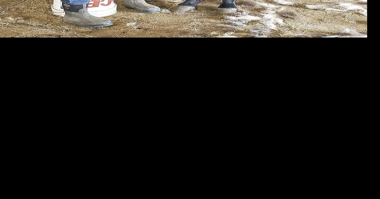 Draft Horse and Mule Show Saturday News