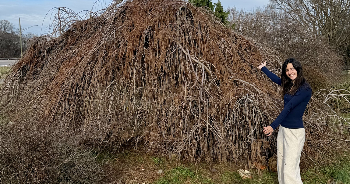 Don’t shed a tear for this weeper