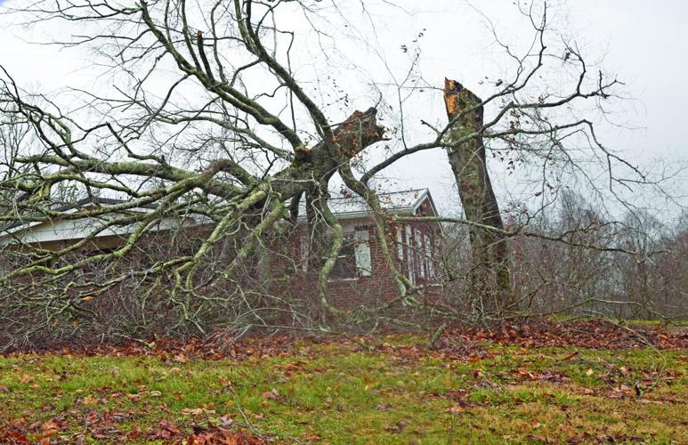 Strong winds down trees, prompt power outages | News | herald-citizen.com
