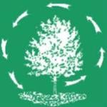 Romer Brothers Tree & Shrub Service