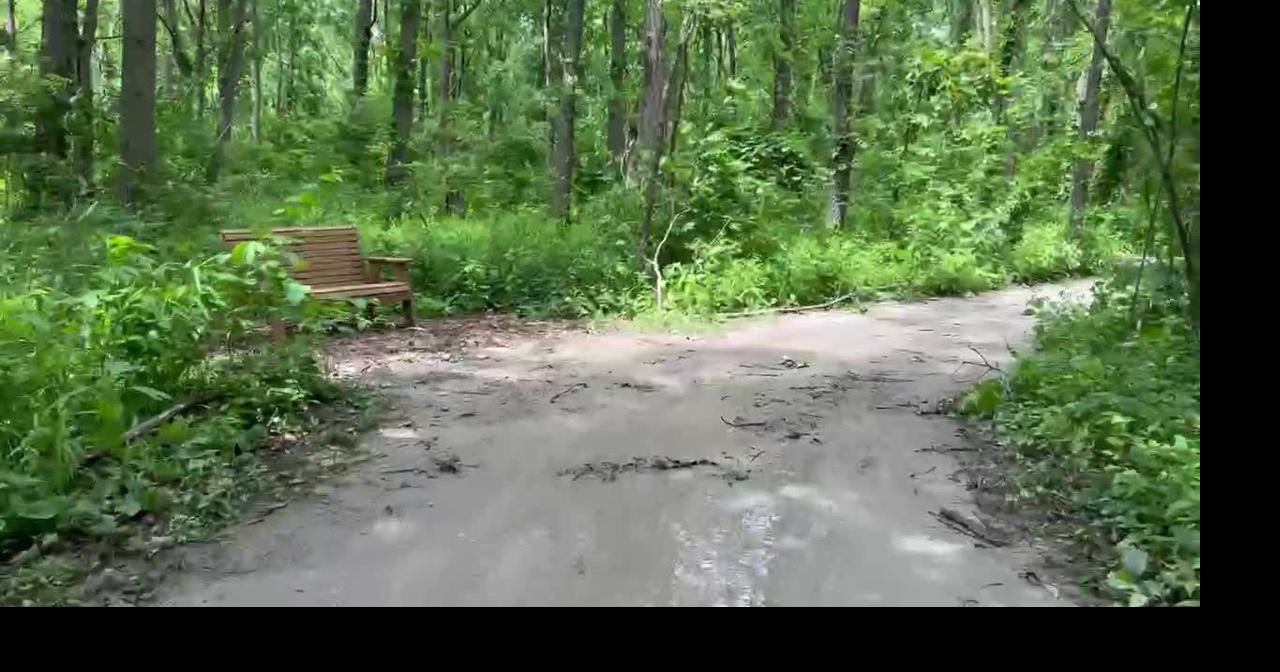 Follow a path through the Douglas-Hart Nature Grounds