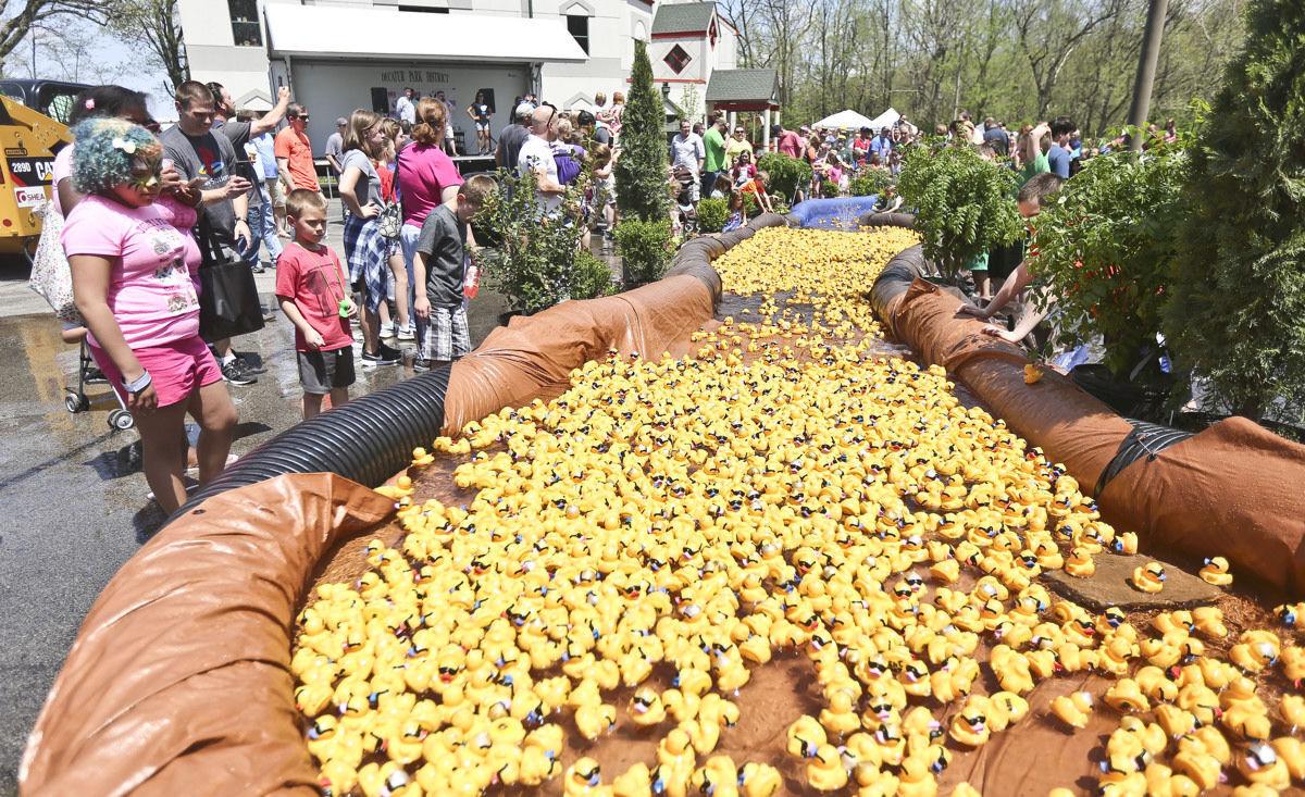 duckderby1