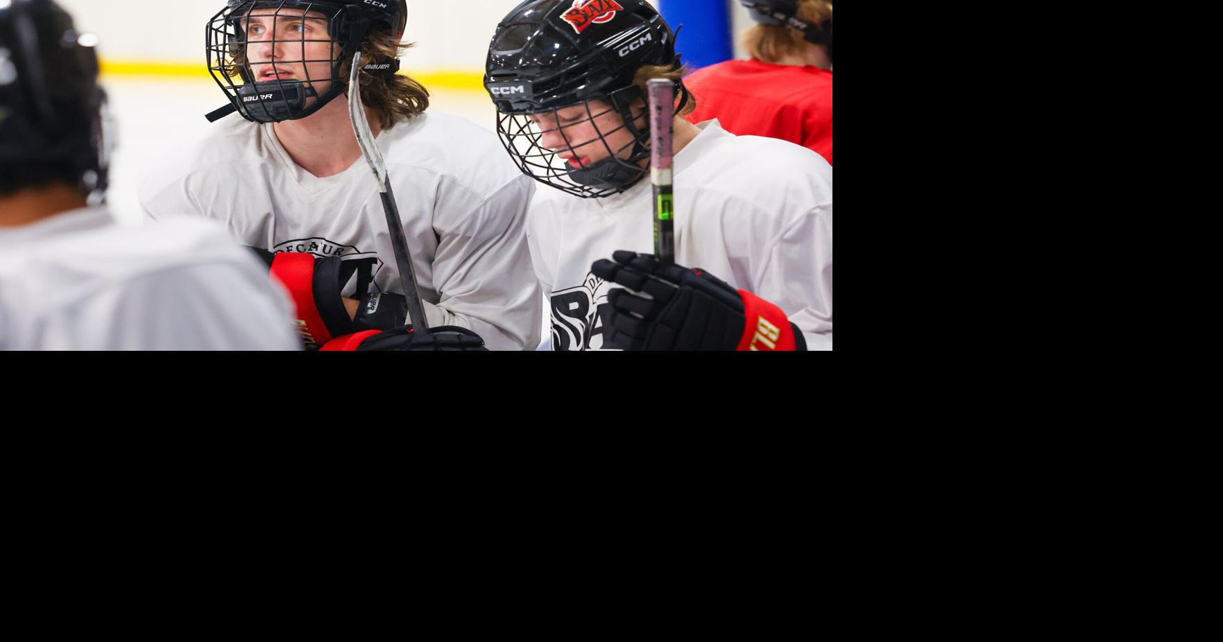 Decatur Blaze players find living with host families a 'home away from ...
