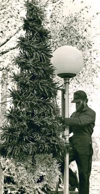 Christmas in the air