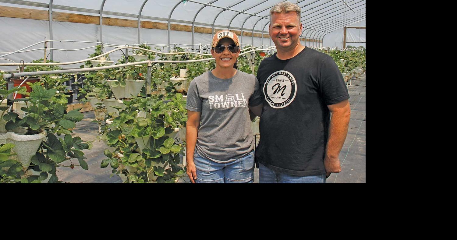 At Clinton's Triple M Farm, agritourism helps sustain other operations