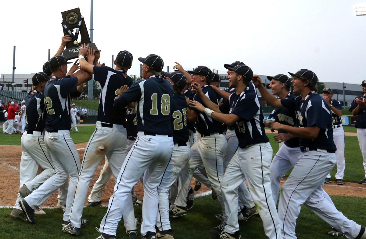 Illinois High School Baseball Summer League Playoffs Baseball Poster