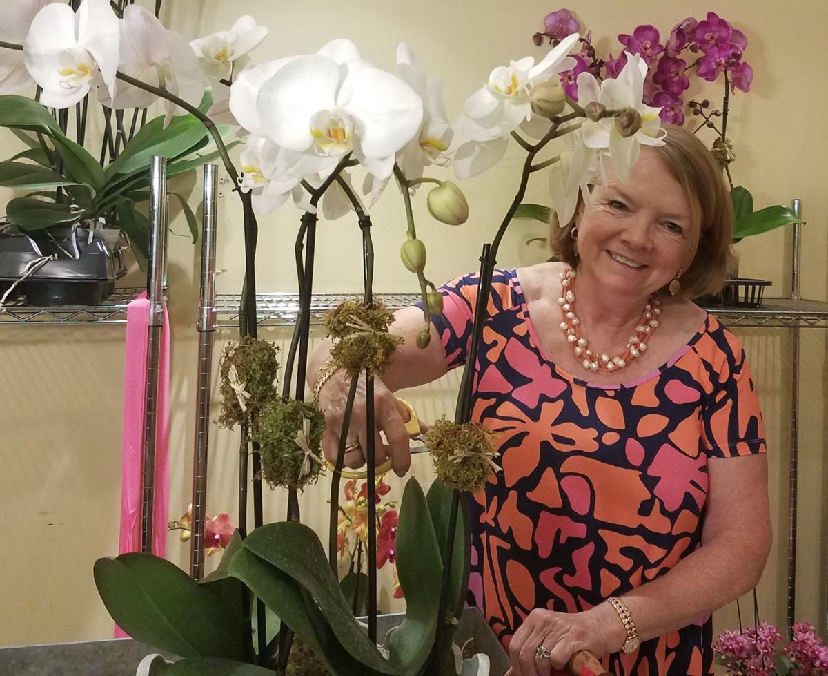 At Home With Marni Jameson There S Something Special About Orchids Columnists Herald Review Com