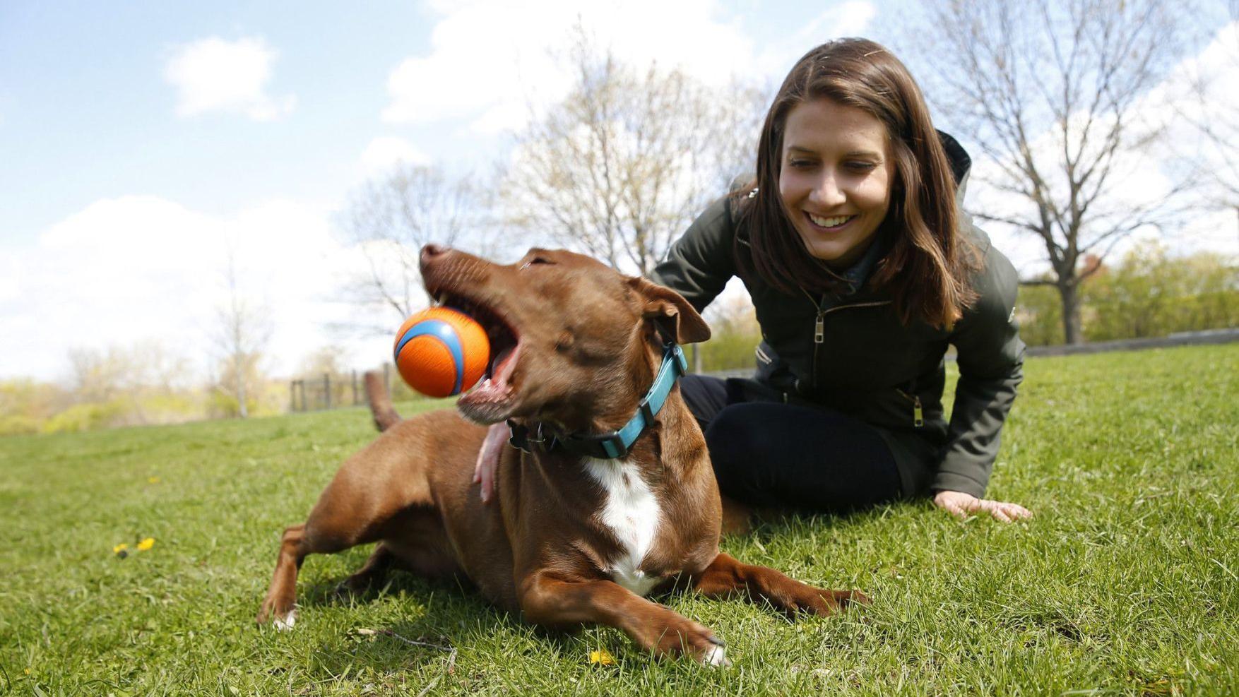 Want to teach your dog to talk? This Illinois speech pathologist can show you how. - Vimarsana News
