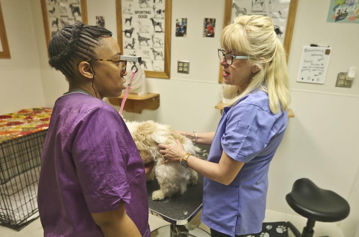 🐾 Here's how Decatur prison's grooming program pampers pets, helps