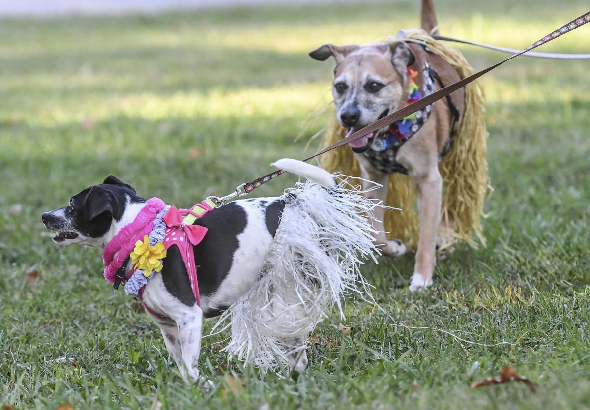 decgal fido5k 3 082817.JPG