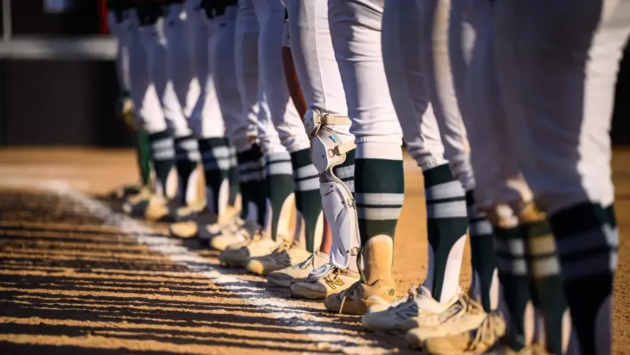 Fifteen Titans Named Easton NFCA Scholar Athletes
