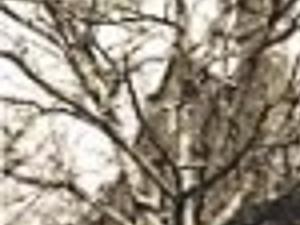 Residents Upset Over Closing Of Millikin University S Last All