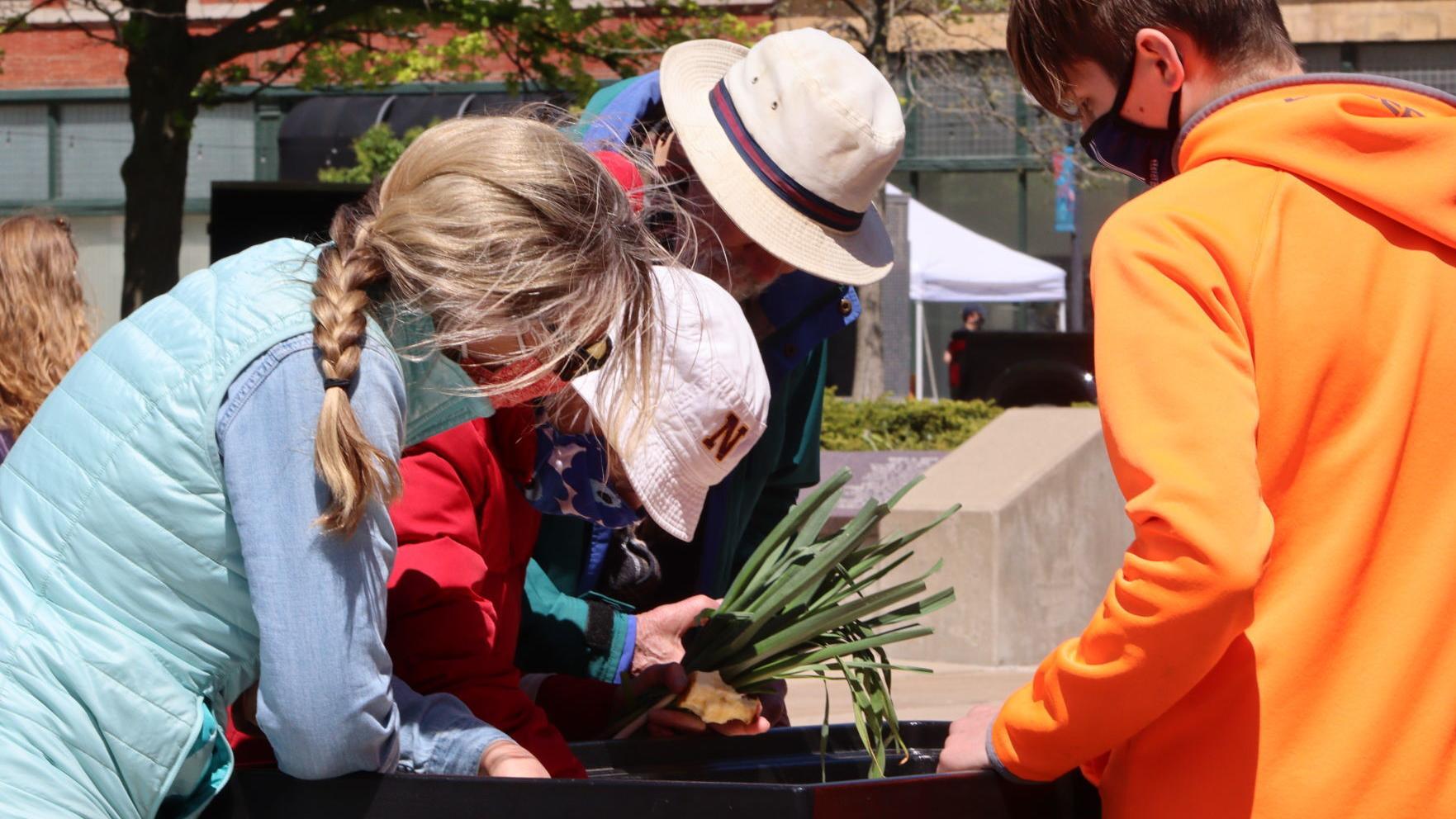 Watch now: Find your closest Central Illinois farmers market this summer 🌽 - Vimarsana News