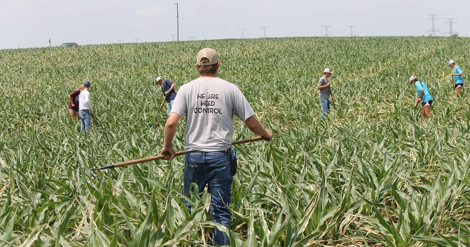 Central Illinois Beanwalkers help Woodford Farmer counties - Vimarsana News