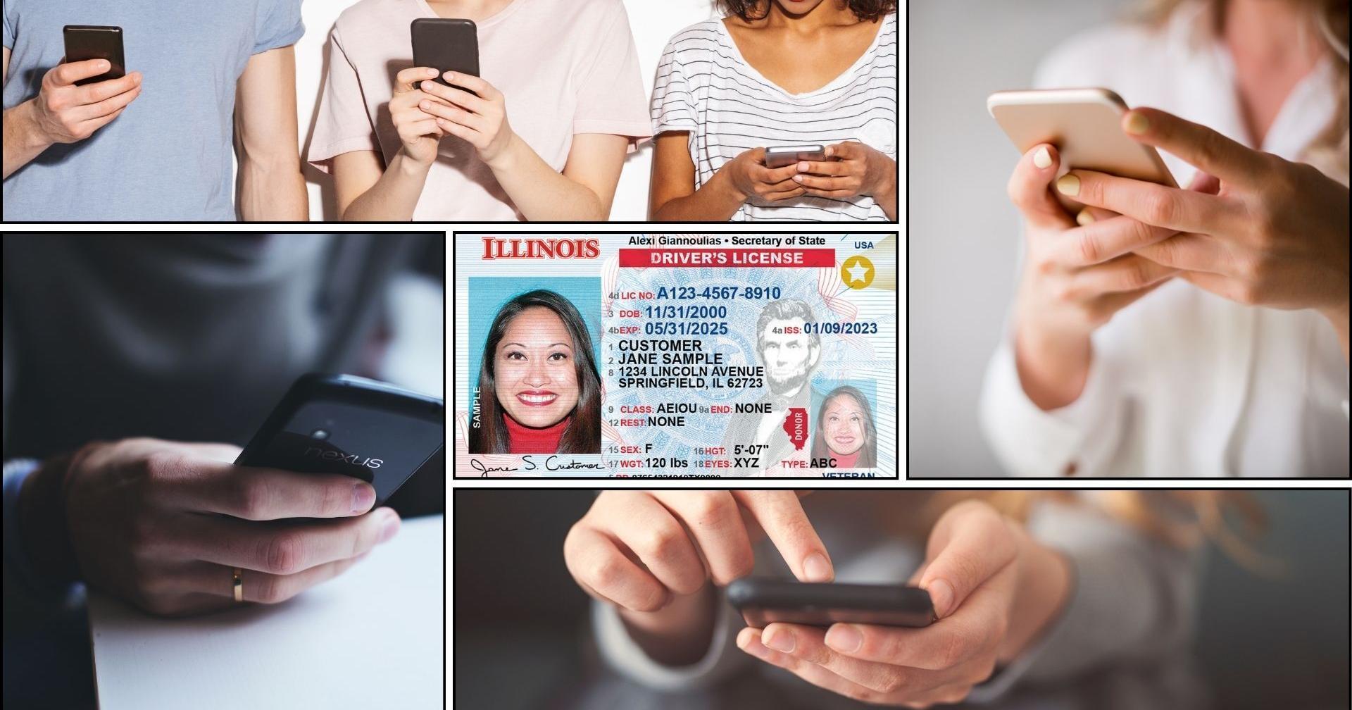 Driver's license on your phone? Illinois Secretary of State backs idea - Vimarsana News