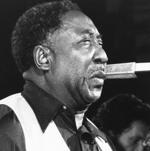 Muddy Waters