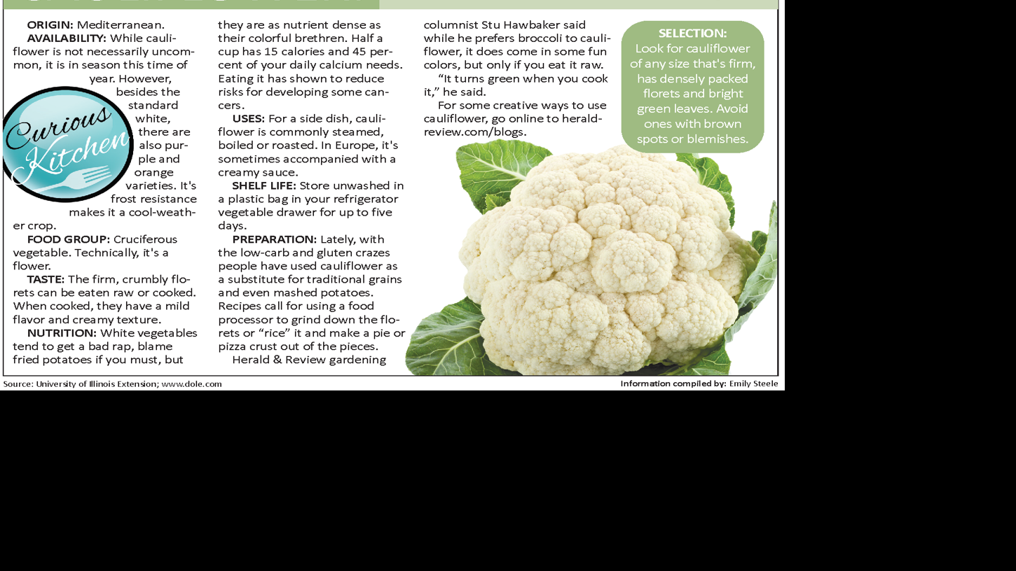 Curious Kitchen Cauliflower Body Talk Herald Review Com